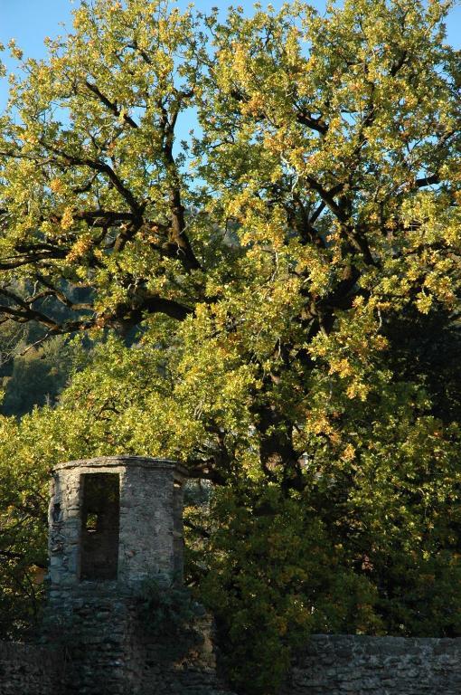 Agriturismo Casteldelpiano Licciana Nardi Εξωτερικό φωτογραφία