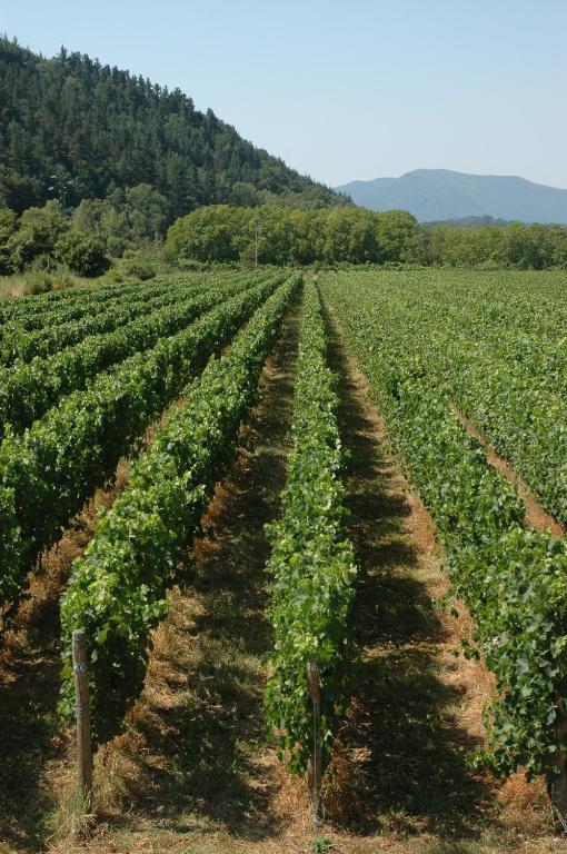 Agriturismo Casteldelpiano Licciana Nardi Εξωτερικό φωτογραφία