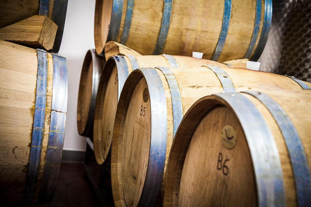 Agriturismo Casteldelpiano Licciana Nardi Εξωτερικό φωτογραφία